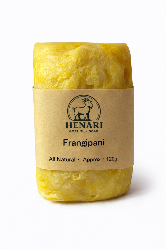 Frangipani